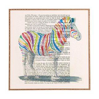 Deny Designs Coco De Paris Rainbow Zebra Framed Wall Art Medium 20 x 20