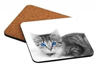 Rikki Knight졼Kitten With Bright Blue Eyesǥ󥳥륯BackedϡSquareӡ륳4