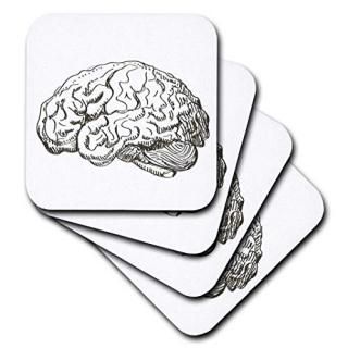 TNMGraphics Science??Brain?? set-of-4-Soft cst_38393_1
