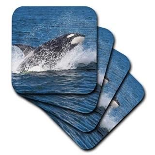 set-of-4-Soft - 3dRose cst_205927_1 Orca Whale Breaching Soft Coaster Set of 4