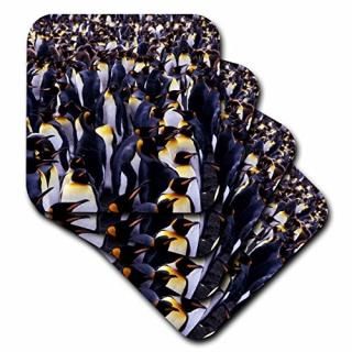 set-of-4-Soft - 3dRose cst_74178_1 South Georgia Island King Penguins-AN01 Gje00