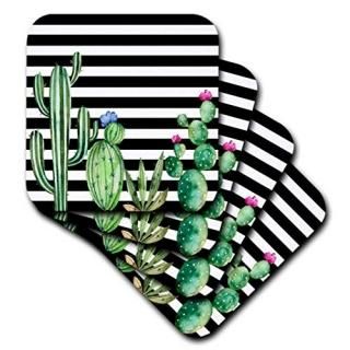 3dAnne Marie Baugh??Cactus??֥åandۥ磻Stripes Watercolor Flowering Cactus??