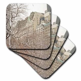 CST 10304York Kike Calvo??Snow Blizzard in Central Park Manhattan New York City?