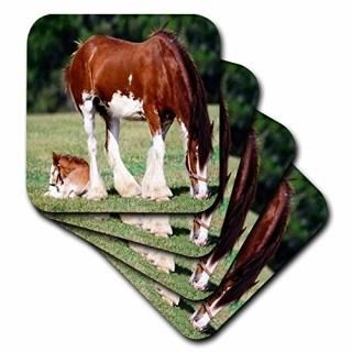 set-of-4-Ceramic - 3dRose cst_80253_3 Clydesdale Mare and Foal Horses Ceramic Ti