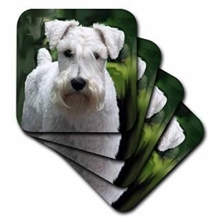 CST 4275?Dogs Schnauzer??ۥ磻Schnauzer?? set-of-4-Soft ۥ磻 cst_4275_1