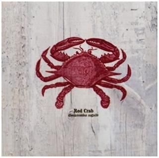 set-of-4-Ceramic - 3dRose cst_99167_3 Red Crab on Wood- Beach Themed Art- Fish-C