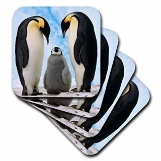 set-of-4-Soft - 3drose Emperor Penguin Family Coaster Soft Set of 4