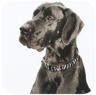 set-of-4-Soft - 3dRose cst_1054_1 Black Great Dane Soft Coasters Set of 4