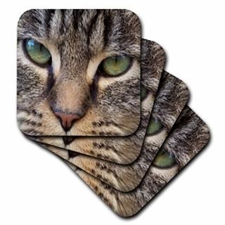 set-of-4-Soft - 3dRose LLC Cat Face Close Up Coaster Soft Set of 4