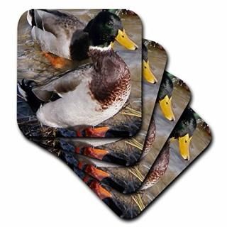 set-of-4-Soft - 3dRose cst_19128_1 Mallard Duck Soft Coasters Set of 4