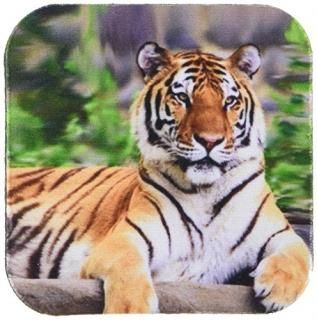 set-of-8-Soft - 3dRose LLC Siberian Tiger Coaster Soft Set of 8