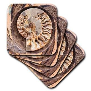 set-of-8-Soft - 3dRose cst_208255_2 A Fossilised Shell Cut in Half. Santa Fe New