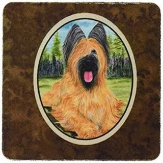 Carolines Treasures SS8035FC Briard Foam Coasters - Set 4