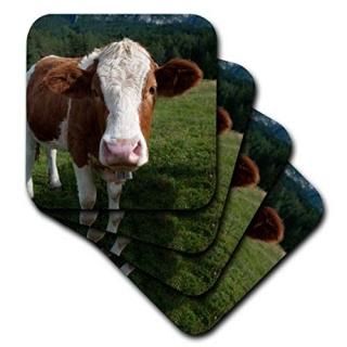set-of-4-Soft - 3dRose cst_165721_1 Simmental Cow Soft Coasters Set of 4