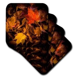 set-of-4-Soft - 3dRose cst_110777_1 Fall Leaves on Forest Floor-Soft Coasters Se