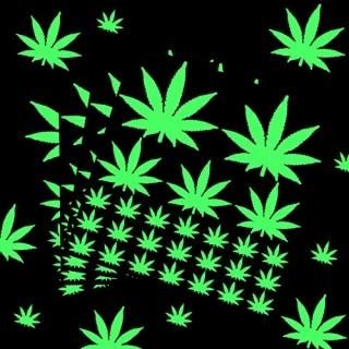 104 Pieces Pot Leaf Stickers Leaf Glow in The Dark Wall Stickers Luminous Leaf S
