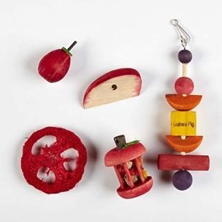 Kaytee Chew & Treat Toy Assortment for Guinea Pigs 5 Pack