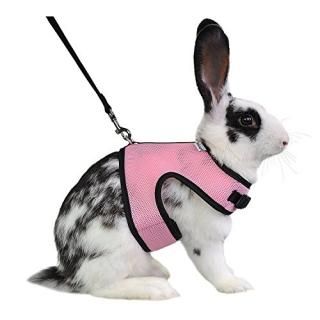 Niteangel Adjustable Soft Harness with Elastic Leash for Rabbits L Pink