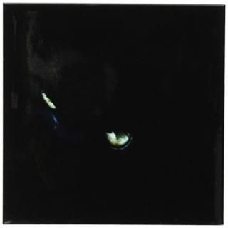 set-of-4-Ceramic - 3dRose LLC Close Up of Black Cat Ceramic Tile Coaster Set of 