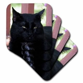 set-of-4-Ceramic - 3dRose LLC cst_23930_3 Black Cat Ceramic Tile Coasters Set of