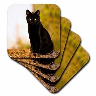 ǭ??ǭ?? set-of-8-Soft ֥å cst_3163_2