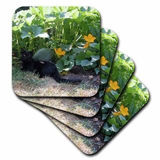 set-of-4-Ceramic - 3dRose cst_29595_3 Black Cat in The Pumpkim Patch-Ceramic Til