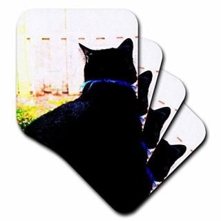set-of-4-Ceramic - 3dRose cst_155949_3 Black Cat From Behind Animal Looking Out 