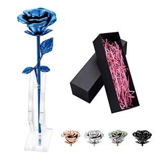 abooxiu ե䳥ѹ ʷ ƥ쥹 ߥ˲ ꥢ ʹ֤ΰ䳥ͭ ֥롼