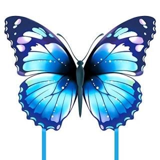 ȡĳȡ󥰥륫ȡҶͤȽ鿴ԤΤСȤ Ȥ