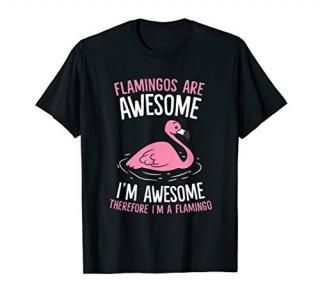 Flamingos Are Awesome I'm Awesome Therefore I'm a Flamingo T-Shirt