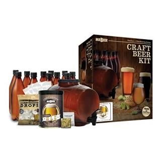 Mr. Beer Premium Gold Edition Homebrewing Craft Beer Making Kit by Mr. Beer