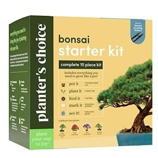 Bonsai Starter Kit - The Complete Growing Kit to Easily Grow 4 Bonsai Trees from