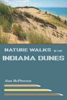 Nature Walks in the Indiana Dunes