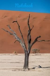 Sand Dune Notebook Journal Diary 6 x 9 Gloss cover with original artwork 100 p