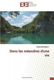 Dans les m?andres d'une vie