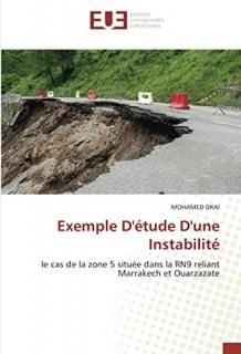 Exemple D'?tude D'une Instabilit? le cas de la zone 5 situ?e dans la RN9 reliant