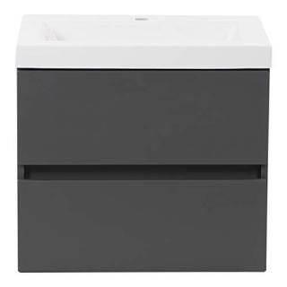 Spring Mill Cabinets Innes 24.5 2-Drawer Modern Floating Bathroom Vanity With I