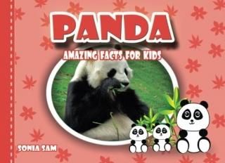 Panda Amazing Facts For Kids