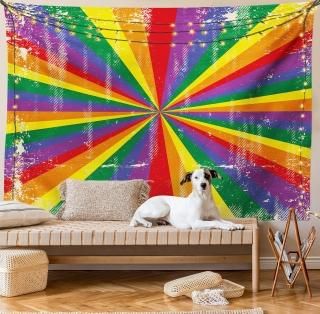 Pride Decorationsڥȥ꡼by AmbesonneRadialơScratched Backdrop for Homosexua