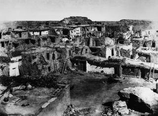 ۥ¼ 1900 Na ꥾Υߥ󥰥ΥӤΥۥ¼ηʿ ѥӤ˸äƸ 󥿡ꥢ ɥɡS Curtis 1900 ݥ