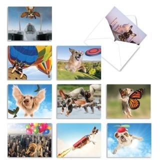 The Flying k9?all-occasion Funny Paper 10 Assorted Blank Note Cards M6448OCB