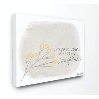 Stupell Home Decor 륢 ؤäƹ 16 x 20 brp-1974_cn_16x20