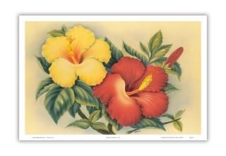 ϥ磻Υϥӥ - ϥ磻β - ˤäƺ줿  c.1940s - ȥݥ - 23cm x 31cm