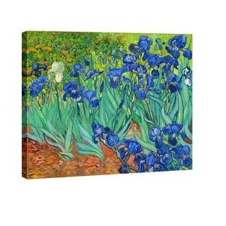 24x20inch 60x50cm - Wieco Art - Irises Large Modern Gallery Wrapped Floral Gicle