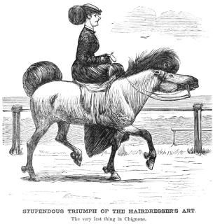 إ C1865 NStupendous Triumph Of The HairdresserS  Ħ ꥫ C1865 ݥץ