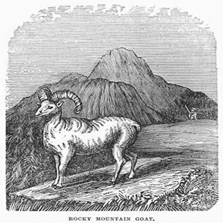 å 䥮 Nthe Upper ߥ ë Ħ 19 ݥץ 2436