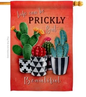 Breeze Decor Prickly But Beautiful House Flag Regional Southwest Desert Cactus C