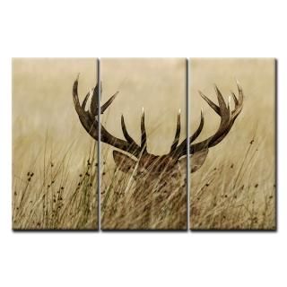 3 Panel Wall Art Deer Stag With Long Antler In The Bushes Painting The Picture P