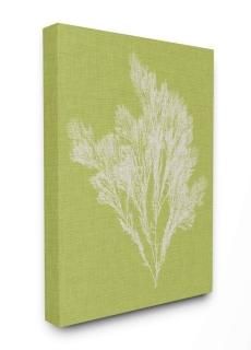 Stupell Industries 륢 24x30 cwp-415_cn_24x30