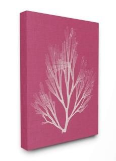 Stupell Industries 륢 24x30 cwp-413_cn_24x30